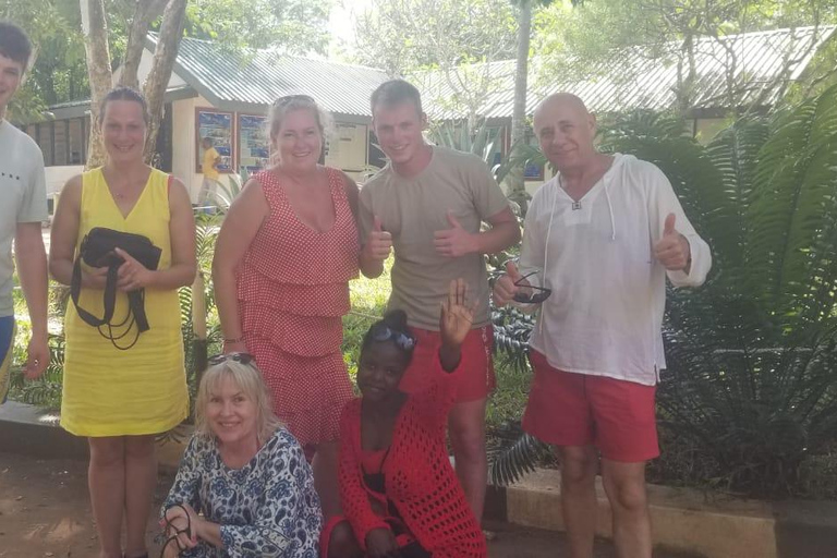 Diani: obserwacja delfinów i nurkowanie z rurką na wyspie Wasini