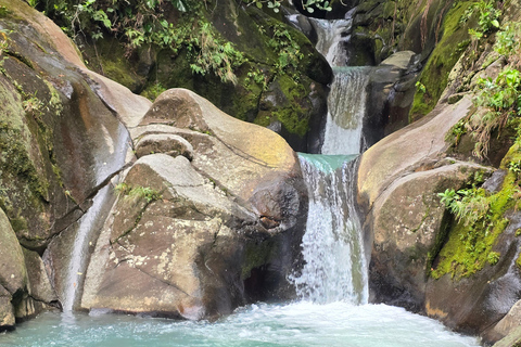 4x4 Land Rover day trip with Fanm Sosyal Kréyol in Guadeloupe Half-Day