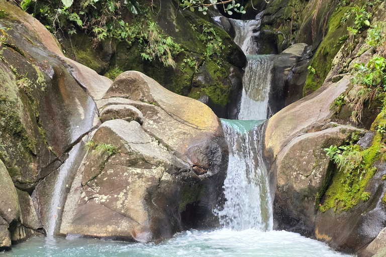 4x4 Land Rover day trip with Fanm Sosyal Kréyol in Guadeloupe Half-Day
