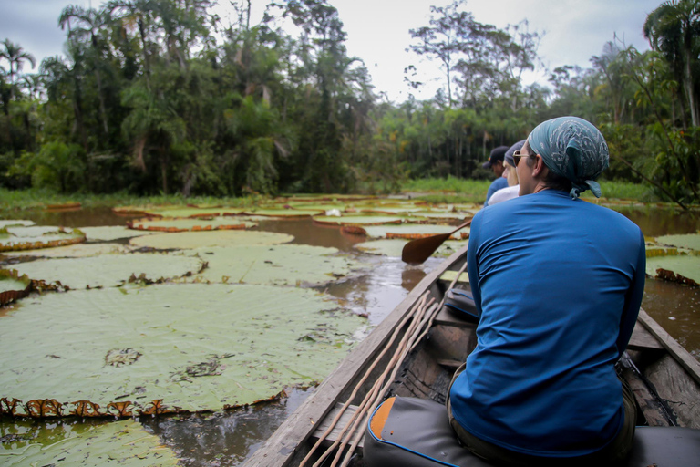 Experiencia completa en la selva