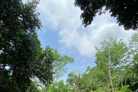 Cartagena: Guided Experience in the Botanical Garden