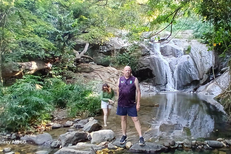 ELLA Lipton Seat Tea Test & Pluck 9Arch, Waterfalls, & Food Lipton's Seat, Little Adam Peak, 9 Arch, Ravana Waterfalls
