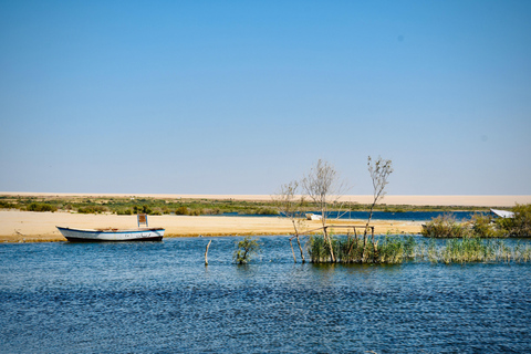 From Cairo: 4x4 Desert Safari, Waterfalls & Magic Lake Shared Tour: Wadi El Rayan, Magic Lake & Lake Qarun, Jeep