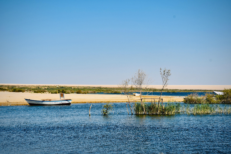 From Cairo: 4x4 Desert Safari, Waterfalls & Magic Lake Shared Tour: Wadi El Rayan, Magic Lake & Lake Qarun, Jeep