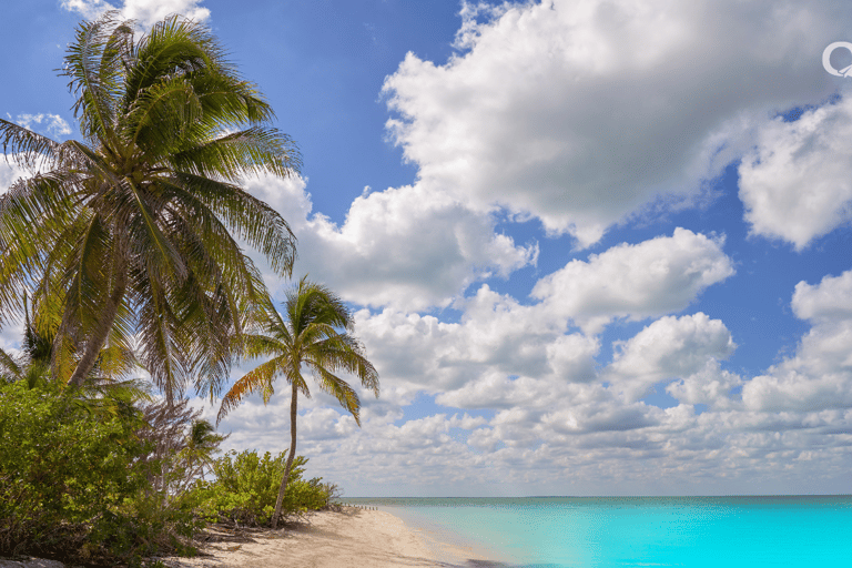 Holbox Bootsfahrt