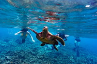 Hermana, Coco e Isla Felicite, Seychelles Catamaran Tour - Housity