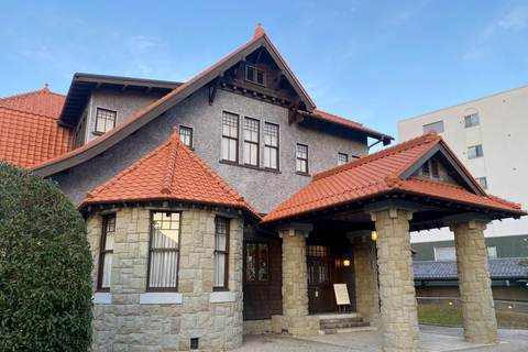 Nagoya’s Cultural Gems: Castle and Historic Residences