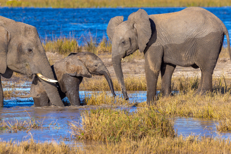Kasane: Chobe National Park 3-Day Safari with Hotel Stay