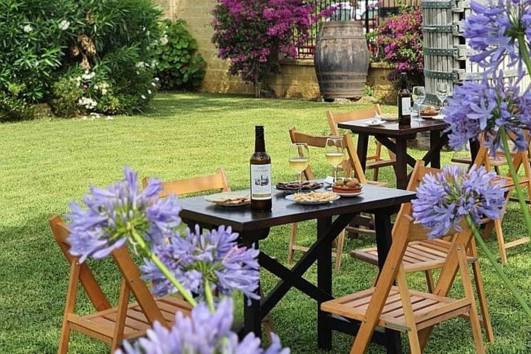 Au départ de Cadix : visite des vignobles de Chiclana de la Frontera avec déjeunerVisite guidée des caves de Chiclana de la Frontera avec déjeuner - 2 personnes