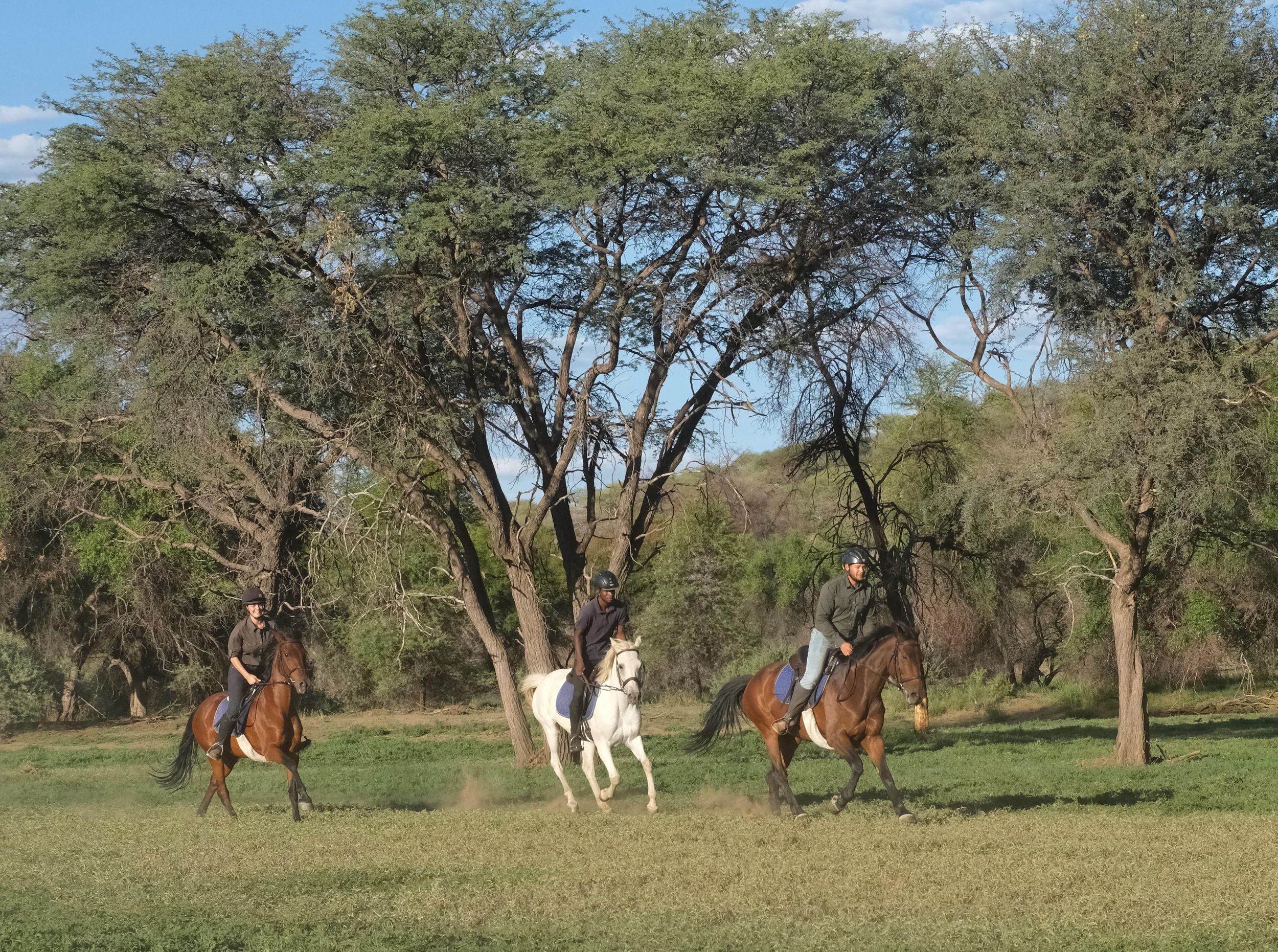 Windhoek: Halbtagestour mit Sundowner-Safari-Ausritt
