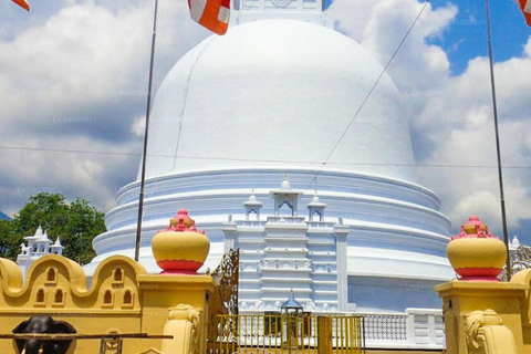 Kandy: Mahiyangana, Dambana, Sorabora Tank, & Wasgamuwa Tour