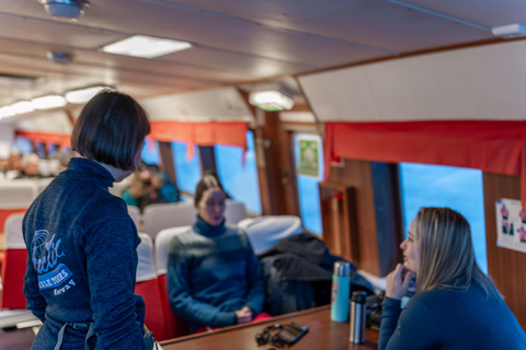 Tromsø: Responsible Whale Watching Cruise Aboard MS Alba