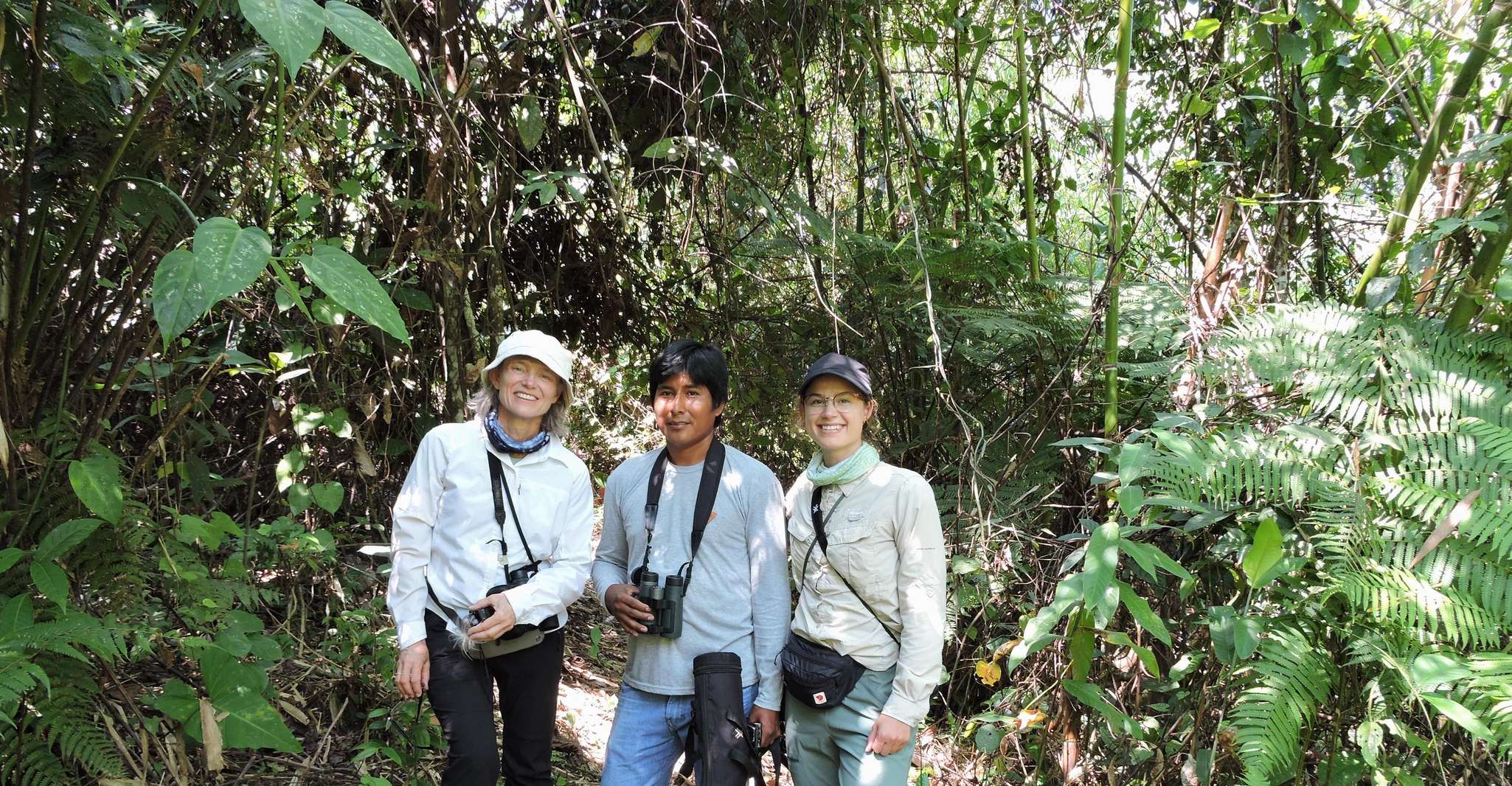 Amazonian Adventure 3 Days, Exploring the Jungle from Cusco - Housity
