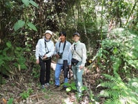 Amazonian Adventure 3 дня, исследуя джунгли из Куско - Housity