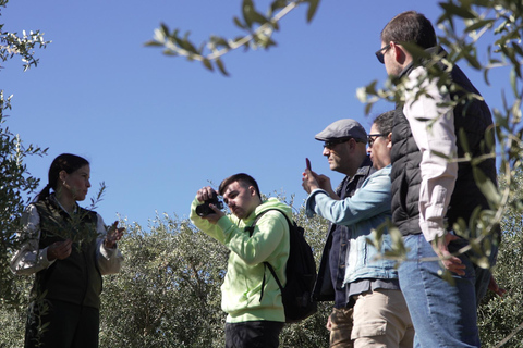 Toledo: Olive Oil Mill Tour & Tasting 4 EVOO Casas de Hualdo