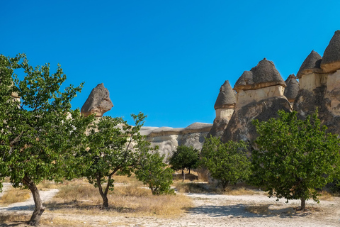 Excursie Cappadocië: Dagvullende tour in het zuiden inclusief ticketsTour in kleine groep - Tickets inbegrepen