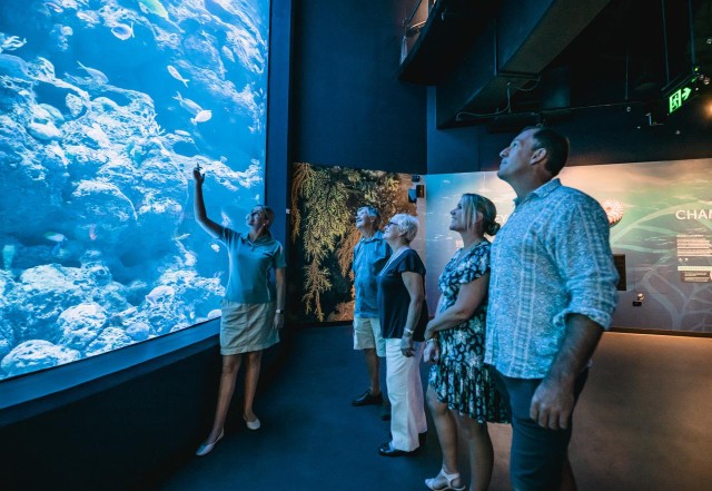 Visit Cairns Night at the Aquarium Guided Tour & 2 Course Dinner in Cairns, Australia