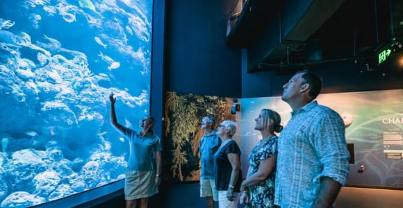 Cairns: Night at the Aquarium Guided Tour