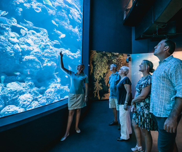 Cairns: Night at the Aquarium Guided Tour & 2 Course Dinner