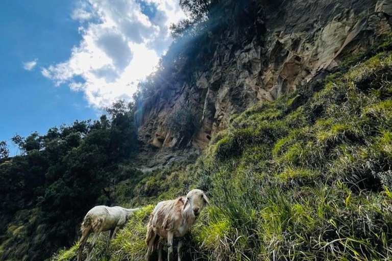 From Addis Ababa: 4-Day Alatish National Park Safari