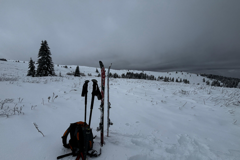 Vitosha: Ski Day Trip by Mountain Stars Ski School