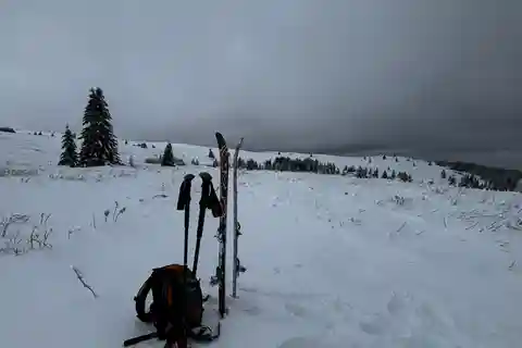 Witosza: Jednodniowa wycieczka narciarska organizowana przez szkołę narciarską Mountain Stars