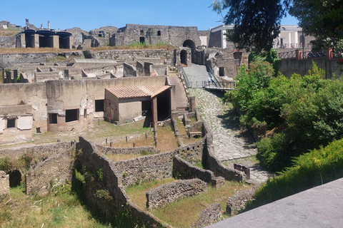 Pompeii: Complete 2.5-Hour Tour with an Official Guide and a Souvenir Photo.