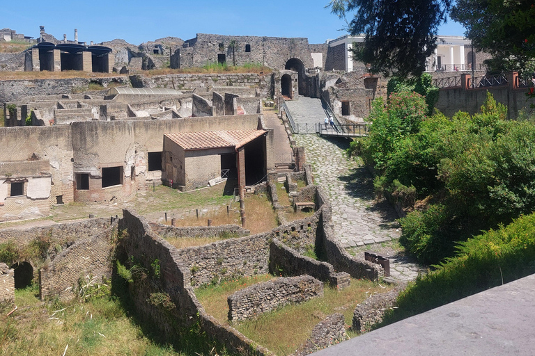 Pompeii: Complete 2.5-Hour Tour with an Official Guide and a Souvenir Photo.