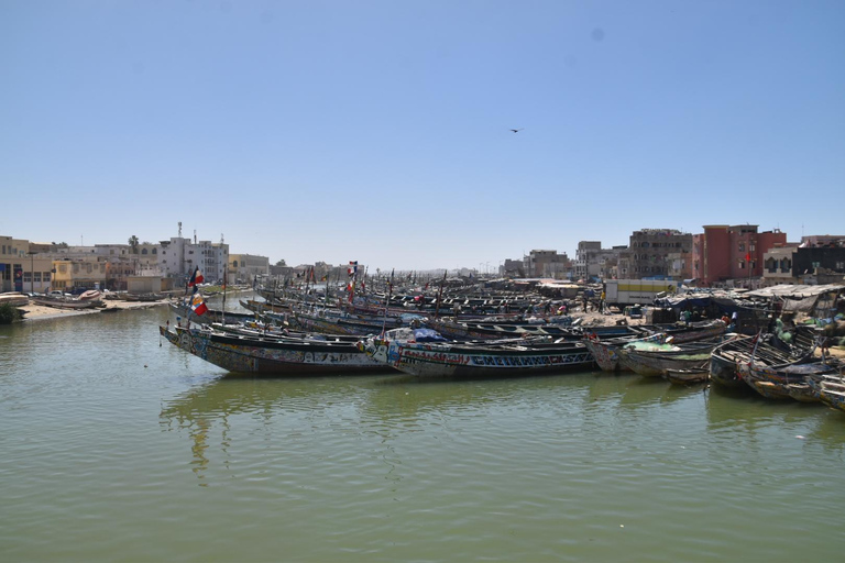 Dakar: 2-Day Gorée Island, Dakar, and Pink Lake Tour