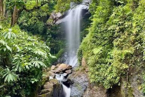 From Addis Ababa: 2-Day Wendo Genet & Hawassa Tour