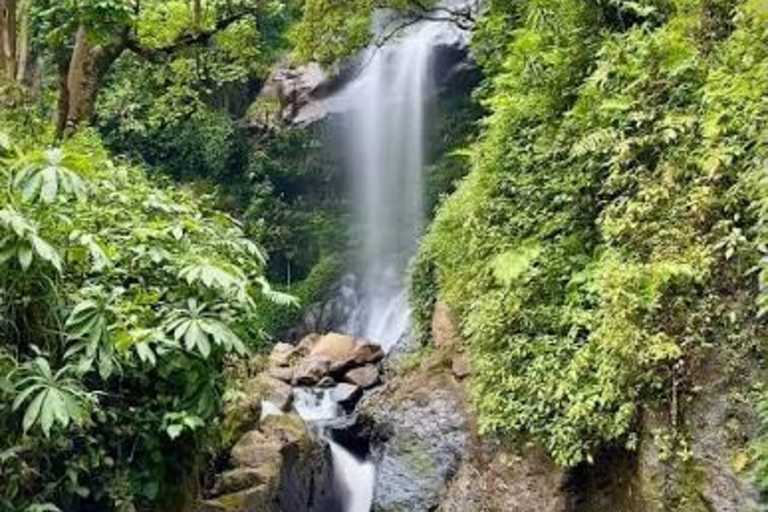 From Addis Ababa: 2-Day Wendo Genet & Hawassa Tour