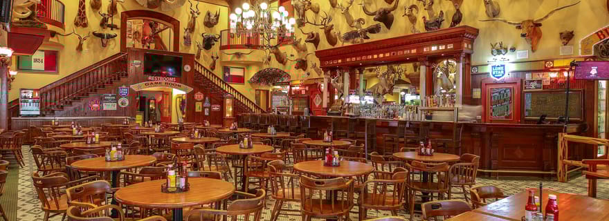 Billet d'entrée pour le Buckhorn Saloon & Museum et le Texas Ranger Museum