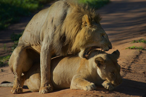 2 dagar 1 natt till Tarangire &amp; Lake manyara från Zanzibar