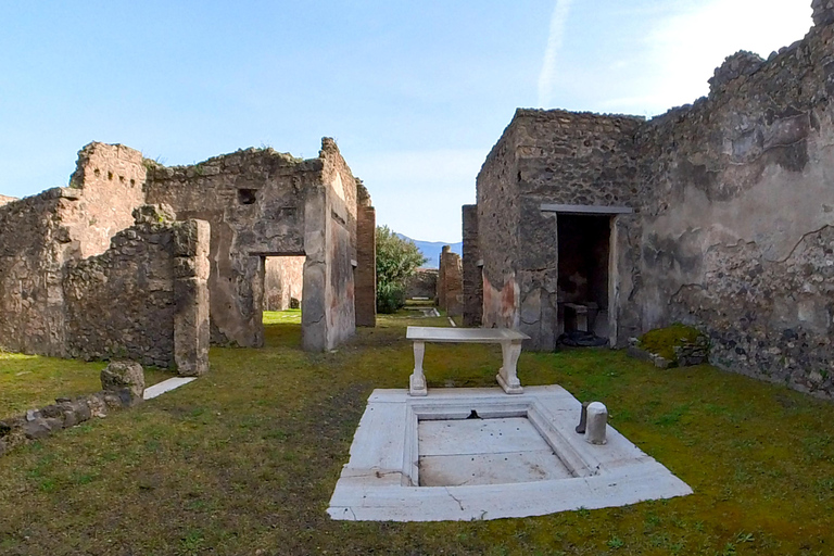 Pompeii: 2 uur voorrangstoegang met een gediplomeerde gidsPompeii: 2 uur bezoek met een gediplomeerde gids