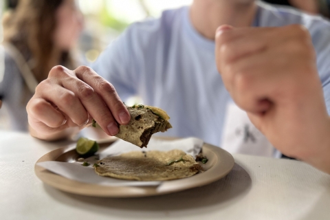 Mexico : Aventure Combi avec dégustation de tacos