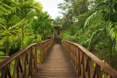 Ganztagestour in Sepilok Orang-Utan, Sonnenbär &amp; Stadtführung Sandakan(Private Tour) Sepilok Orang-Utan, Sonnenbär &amp; Stadtführung