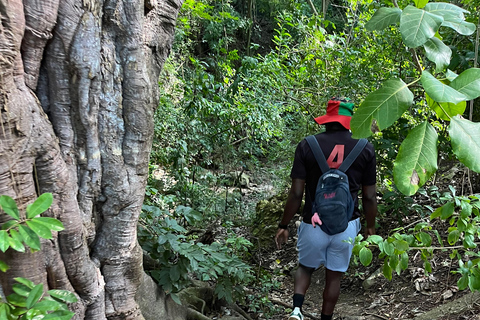 St Kitts: Bloody Point River Hike Petroglyphs+Bat Cave