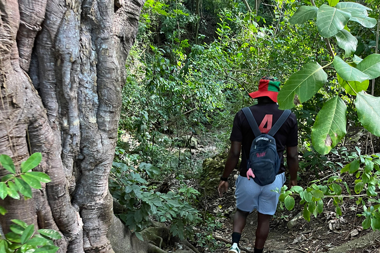 St Kitts: Bloody Point River Hike Petroglyphs+Bat Cave
