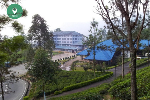 Kandy: Nuwara Eliya Tag Erkundung per Tuk Tuk mit ortskundigem Guide