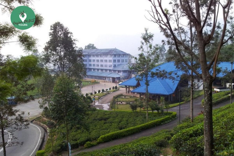 Kandy: Nuwara Eliya Tag Erkundung per Tuk Tuk mit ortskundigem Guide