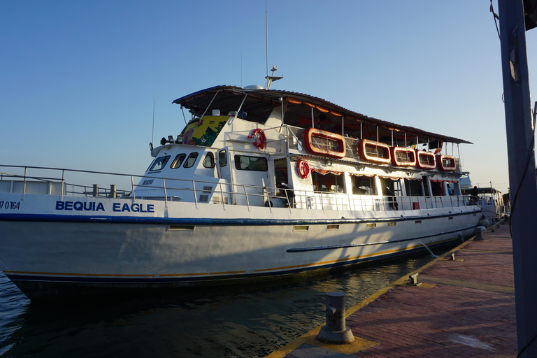 Carthagène : excursion en bateau de nuit avec dîner et open barCARTAGENA : Excursion en bateau de nuit blanche avec dîner et open bar