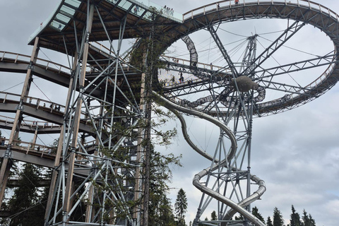 Zakopane: Treetop Skywalk Hot Springs Experience & Transport Termy Bania – Skip-the-Line Thermal Baths Entry