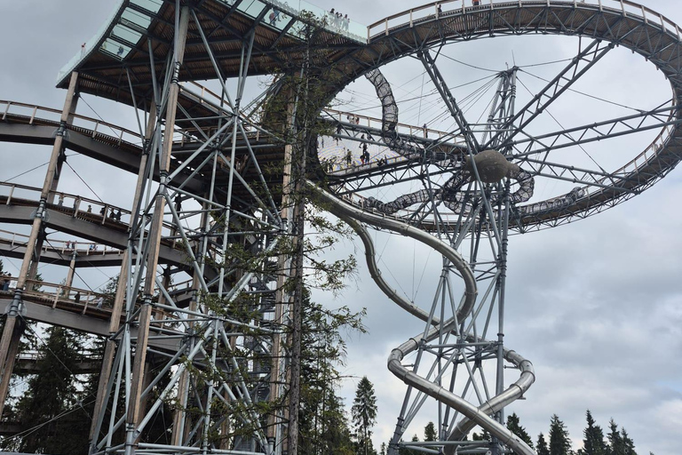 Zakopane: Treetop Skywalk Hot Springs Experience & Transport Termy Bania – Skip-the-Line Thermal Baths Entry