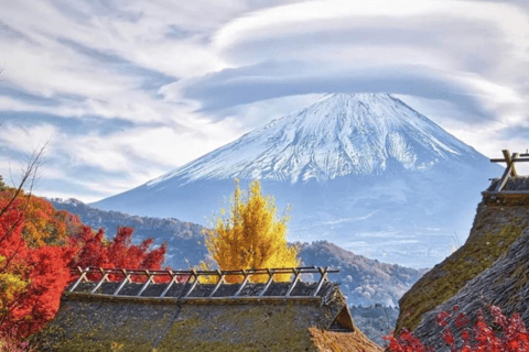 From Tokyo: Mount Fuji Full Day Customizable Private Tour