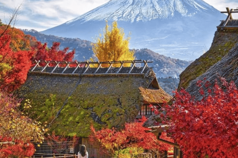 From Tokyo: Mount Fuji Full Day Customizable Private Tour