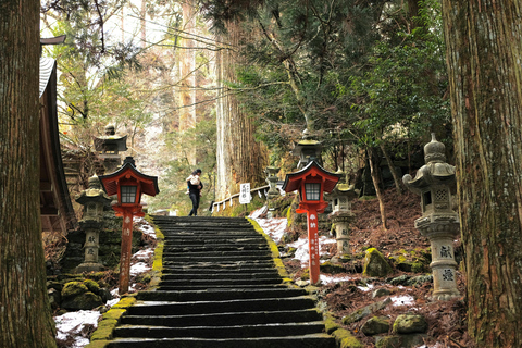 From Tokyo: Nikko Private Full-Day Tour with Driver Nikko Luxury Small group