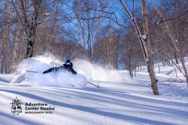 Visit Mt. Naeba Resort Backcountry Bliss - 6h Guided Tour in Niigata