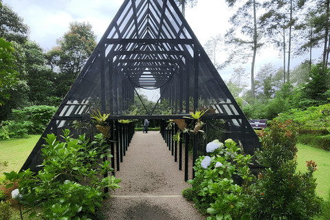 Bandung: Tangkuban Perahu Volcano Tours Tangkuban Perahu - Domas - Tahura Djuanda - Keraton Cliff