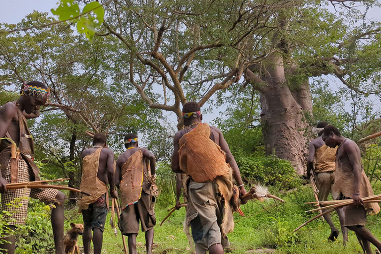 Tanzanie : forfait aventure d&#039;un an avec ascension du Kilimandjaro