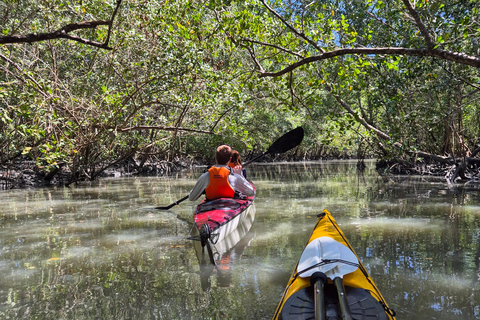 Paraty: Kayak tour through the mangroves and bay Paraty: Kayak Ride Through the Mangroves and Bay (Morning)